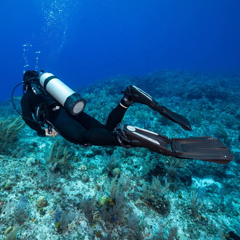 Voilure Seawing Super nova