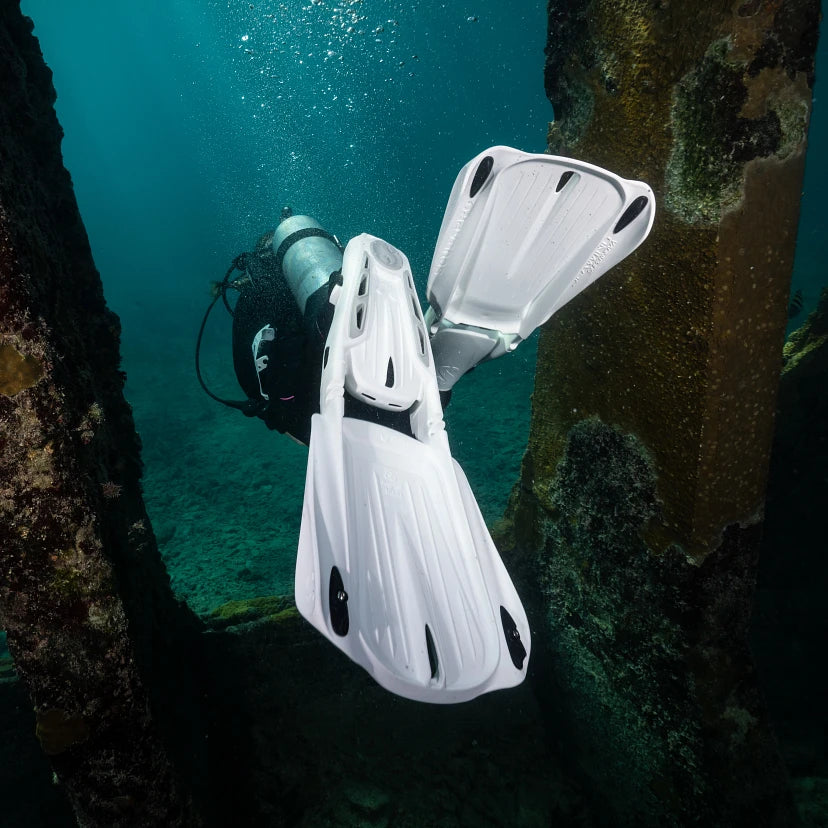Palme Seawing Supernova
