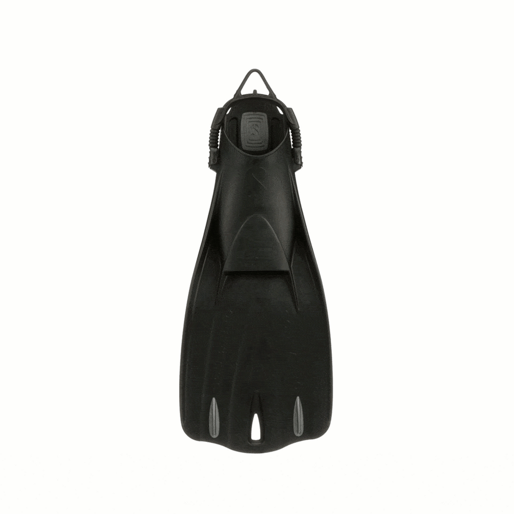 Palme Go-Sport