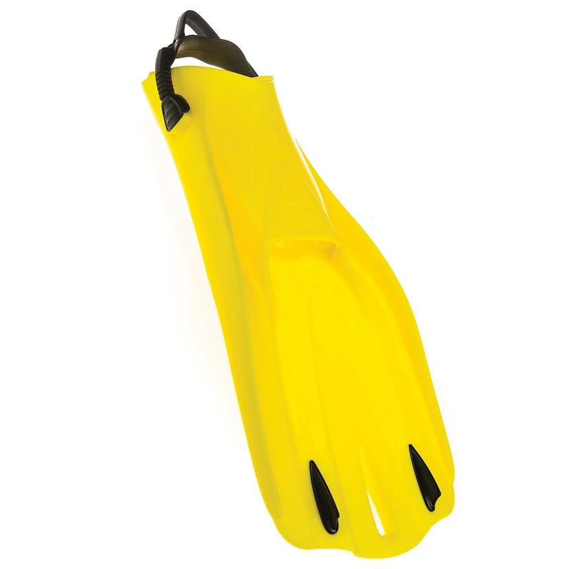 Palme Go-Sport