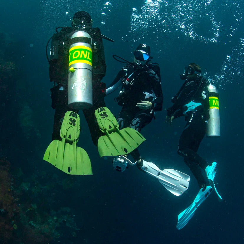 Palme Seawing Nova Gorilla