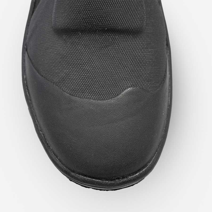 Bottillon Amphibian