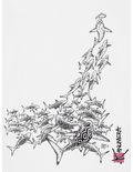 T-Shirt blanc l'attaque des requins Kanuméra